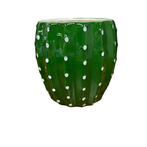 Pier 1 Cactus Coffee Mug  16oz. Succulent Saguaro Red Flower Desert Green - Picture 4 of 8